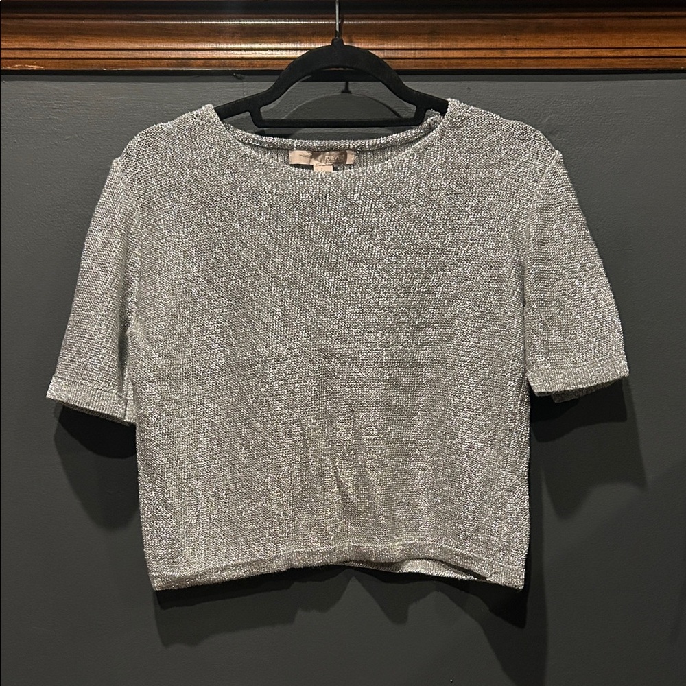 Forever 21 Silver Shimmer Crop Top